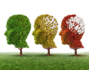 Deterioramento cognitivo - rappresentazione alberi e cervello