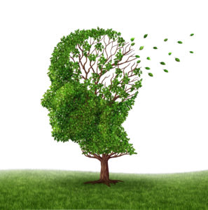 Declino cognitivo - albero e cervello